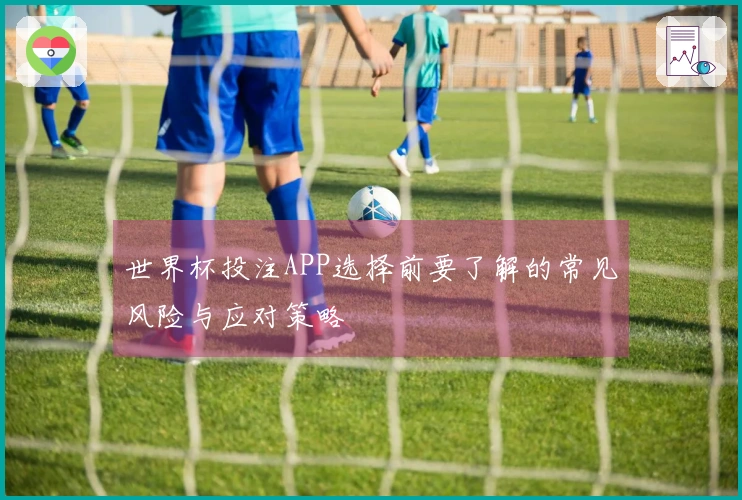 世界杯投注APP选择前要了解的常见风险与应对策略