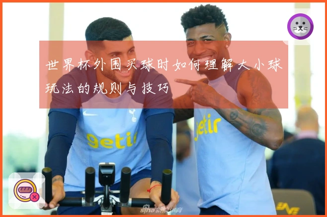 世界杯外围买球时如何理解大小球玩法的规则与技巧