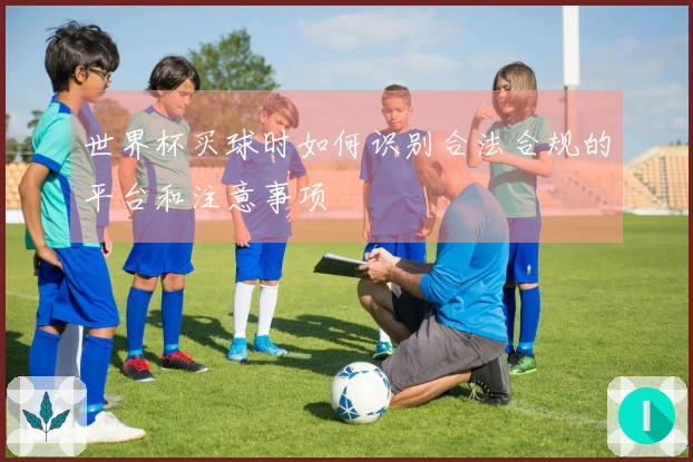 世界杯买球时如何识别合法合规的平台和注意事项