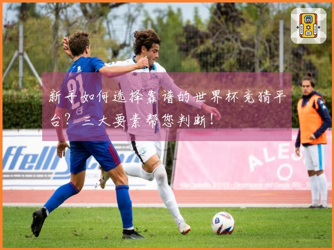 新手如何选择靠谱的世界杯竞猜平台？三大要素帮您判断！