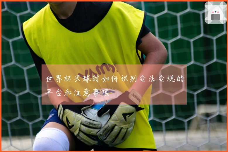 世界杯买球时如何识别合法合规的平台和注意事项