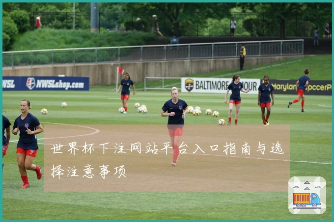 世界杯下注网站平台入口指南与选择注意事项