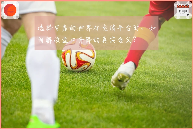 选择可靠的世界杯竞猜平台时，如何解读盘口升降的真实含义？