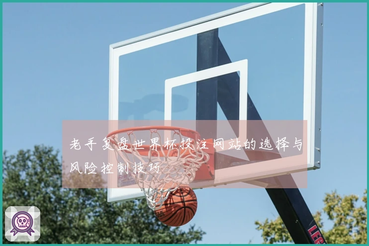 老手复盘世界杯投注网站的选择与风险控制技巧