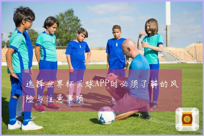 选择世界杯买球APP时必须了解的风险与注意事项