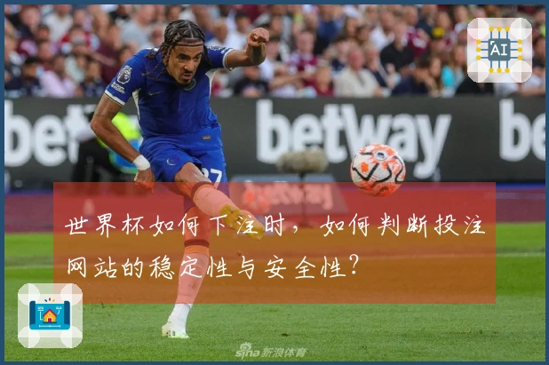 世界杯如何下注时，如何判断投注网站的稳定性与安全性？