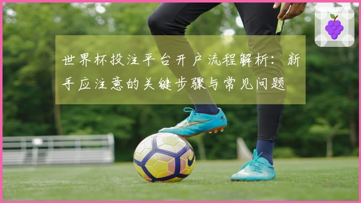 世界杯投注平台开户流程解析：新手应注意的关键步骤与常见问题