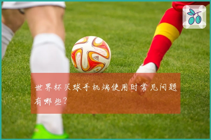 世界杯买球手机端使用时常见问题有哪些？