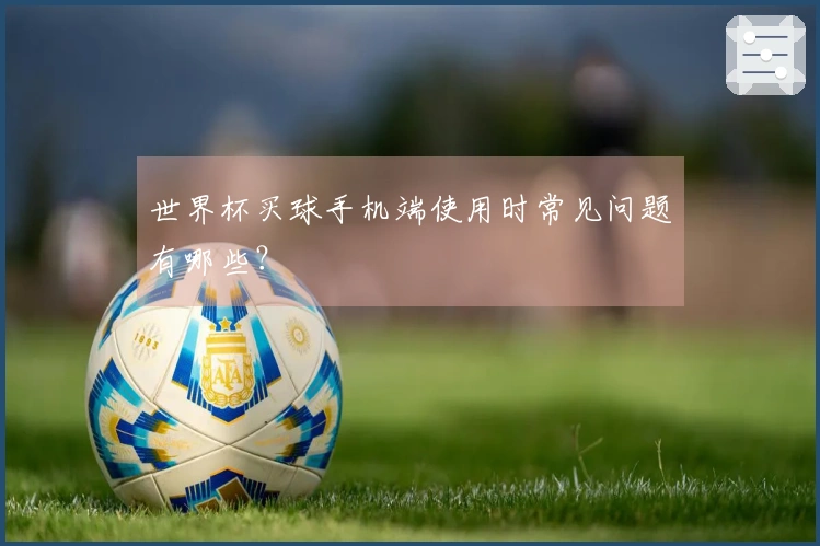 世界杯买球手机端使用时常见问题有哪些？