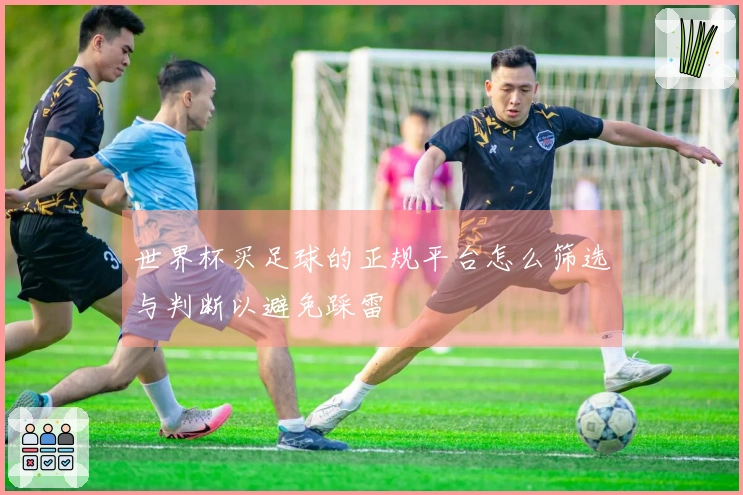 世界杯买足球的正规平台怎么筛选与判断以避免踩雷
