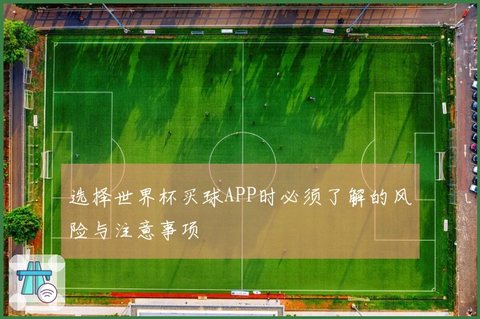 选择世界杯买球APP时必须了解的风险与注意事项