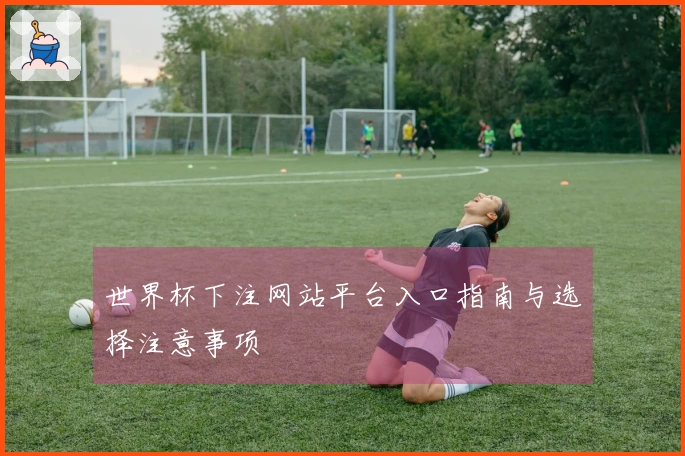 世界杯下注网站平台入口指南与选择注意事项