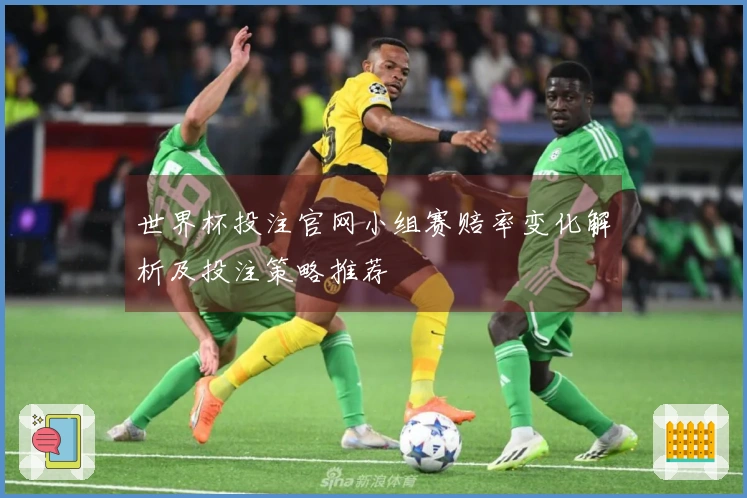 世界杯投注官网小组赛赔率变化解析及投注策略推荐