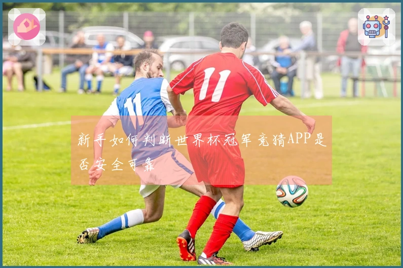 新手如何判断世界杯冠军竞猜APP是否安全可靠