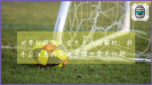 世界杯投注平台开户流程解析：新手应注意的关键步骤与常见问题