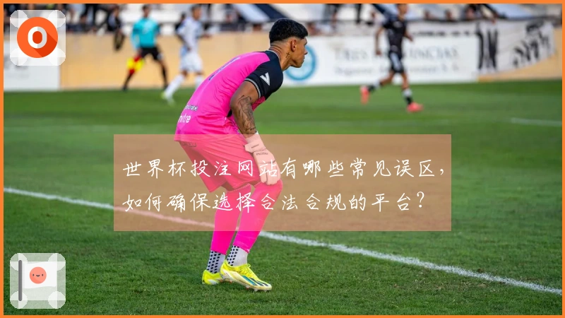 世界杯投注网站有哪些常见误区，如何确保选择合法合规的平台？