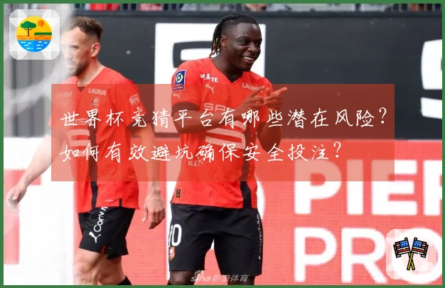 世界杯竞猜平台有哪些潜在风险？如何有效避坑确保安全投注？