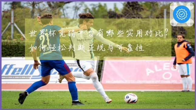 世界杯竞猜平台有哪些实用对比？如何轻松判断正规与可靠性