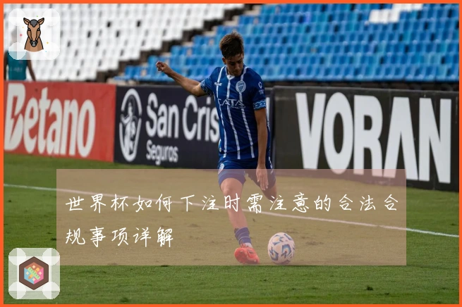 世界杯如何下注时需注意的合法合规事项详解