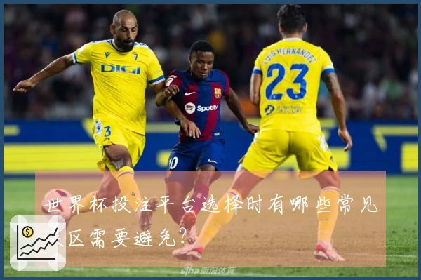 世界杯投注平台选择时有哪些常见误区需要避免?