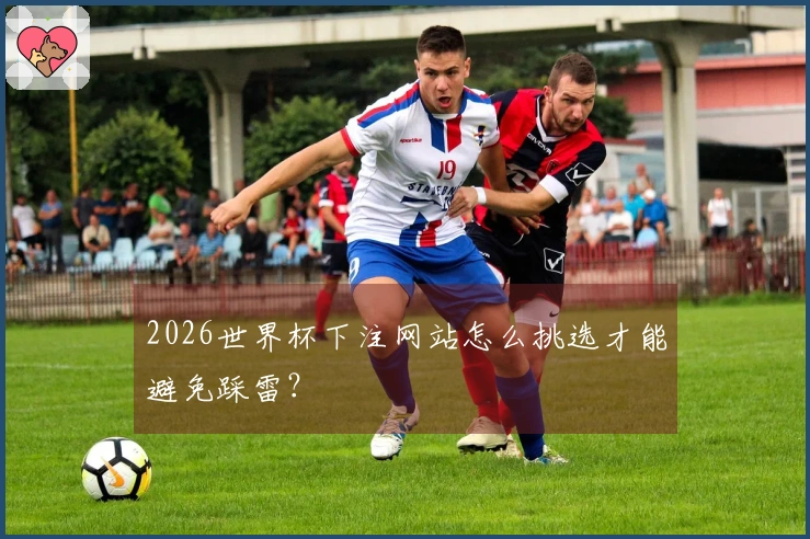 2026世界杯下注网站怎么挑选才能避免踩雷？