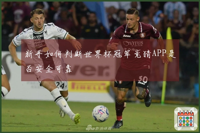 新手如何判断世界杯冠军竞猜APP是否安全可靠