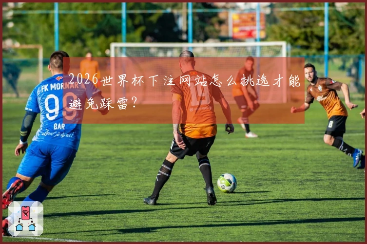 2026世界杯下注网站怎么挑选才能避免踩雷？
