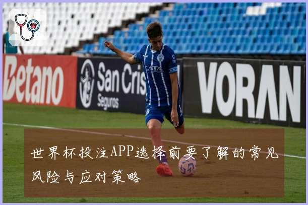 世界杯投注APP选择前要了解的常见风险与应对策略