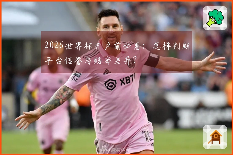 2026世界杯开户前必看：怎样判断平台信誉与赔率差异？
