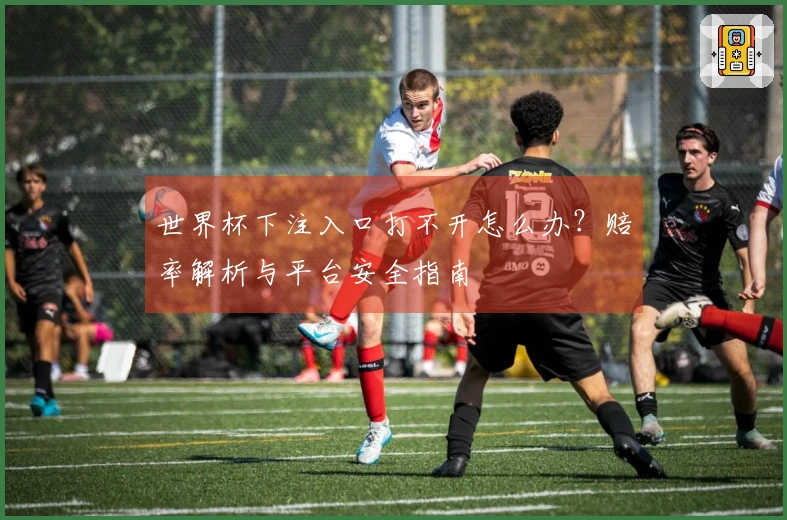 世界杯下注入口打不开怎么办？赔率解析与平台安全指南