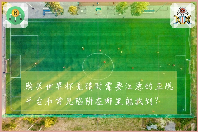购买世界杯竞猜时需要注意的正规平台和常见陷阱在哪里能找到？
