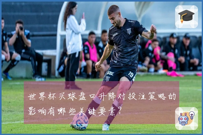世界杯买球盘口升降对投注策略的影响有哪些关键要素？