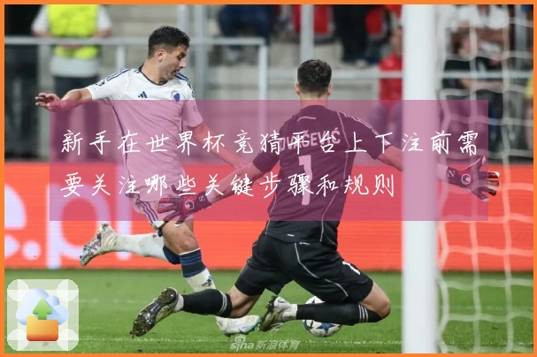 新手在世界杯竞猜平台上下注前需要关注哪些关键步骤和规则