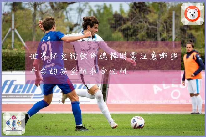 世界杯竞猜软件选择时需注意哪些平台的安全性和合法性