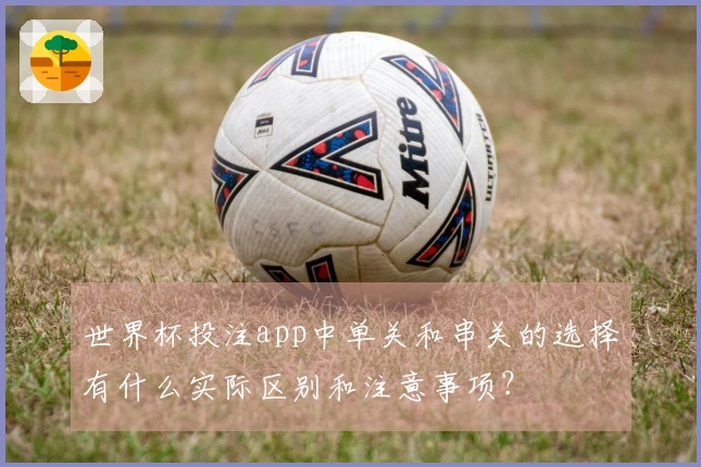 世界杯投注app中单关和串关的选择有什么实际区别和注意事项？
